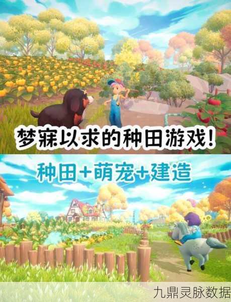 田园寻宝记,打造你的梦幻农场,开启模拟经营新篇章