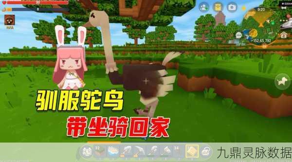 迷你世界,揭秘鸵鸟繁殖的美食秘籍