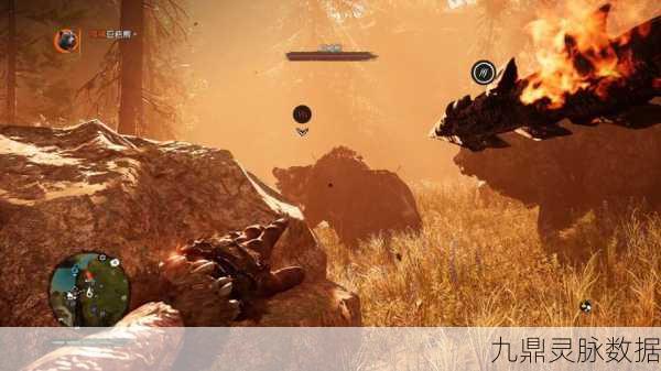 孤岛惊魂3，揭秘永恒之熊皮的神秘踪迹