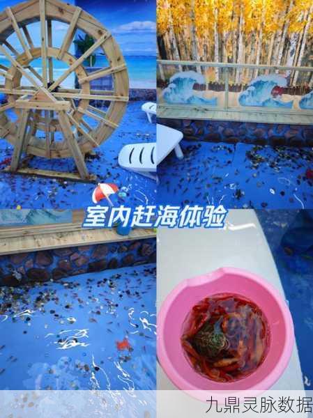 赶海王2022，探索海底世界的趣味休闲新体验