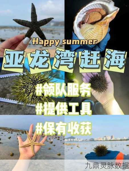 赶海王2022,探索海底世界的趣味休闲新体验