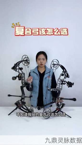 森林之子游戏中复合弓的获取秘籍与实战技巧