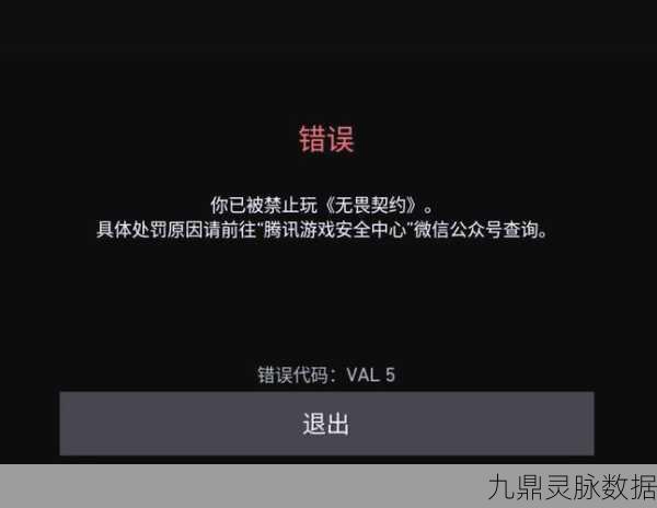 使命召唤手游账号安全探讨,误封风险几何?