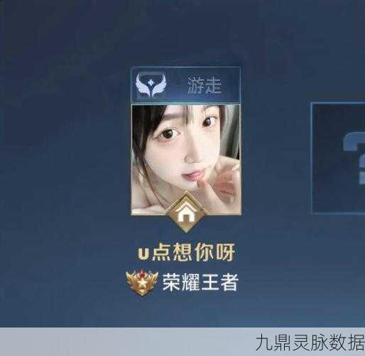 王者荣耀,女生专属昵称大揭秘,打造你的个性战场