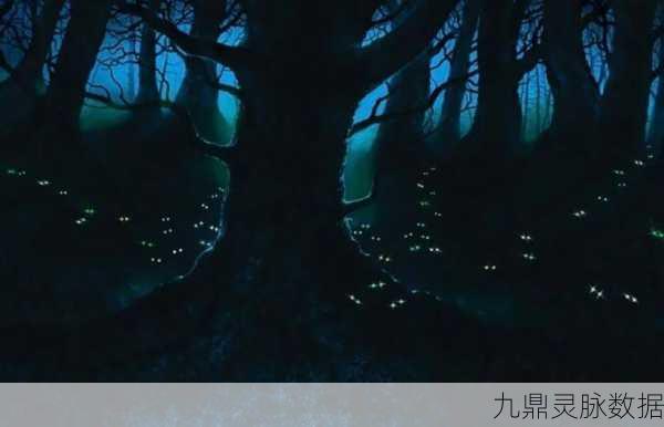 暮色森林深处的秘密,追踪乌鸦的神秘轨迹