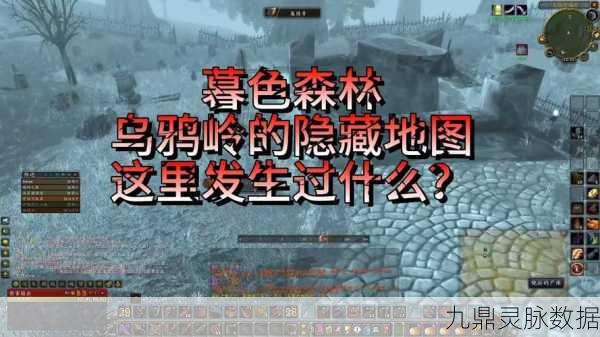暮色森林深处的秘密,追踪乌鸦的神秘轨迹