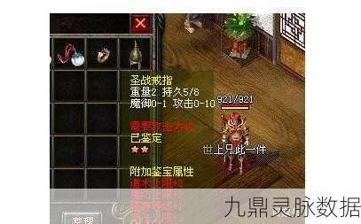 DNF火戒指传奇,火属性战士的荣耀加冕,战力飙升新纪元