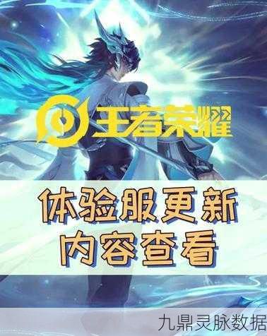 王者荣耀抢先服全攻略,轻松解锁,抢先体验