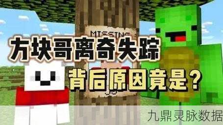 揭秘我的世界方块哥的真实面貌,玩家心中的创意偶像