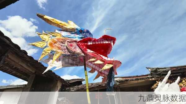 龙炮轰鸣,终极之选,普通版VS高级版龙炮套装深度剖析