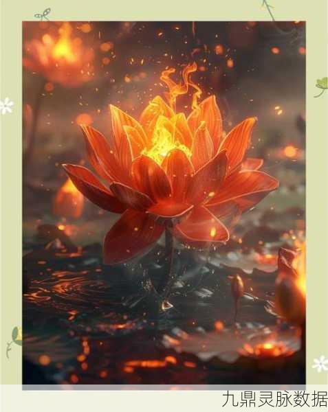创造与魔法红莲花,解锁无限可能的神秘之花