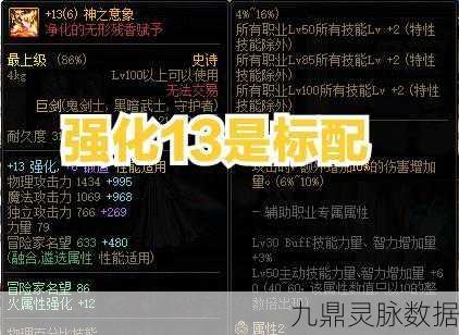 DNF 增幅与强化的深度剖析,差异与选择指南