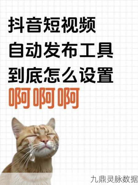 轻松掌握抖音自动播放下一个作品设置,畅享无限精彩