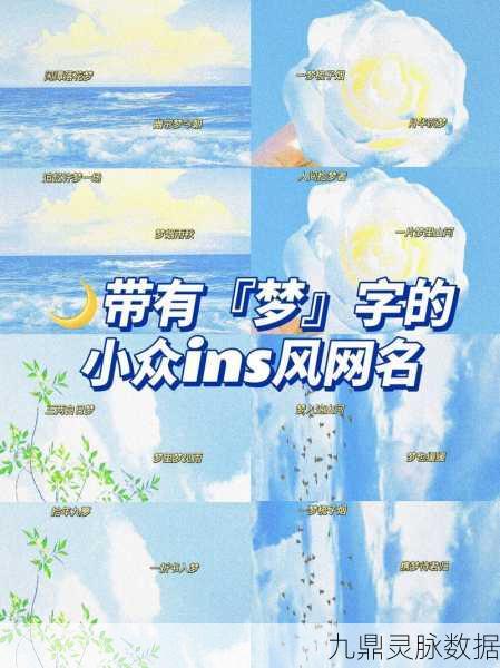 解析梦雨网名的深意与符号搭配艺术