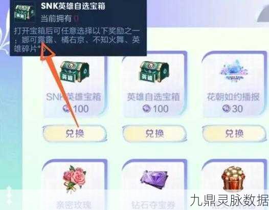 王者荣耀 100 强,含义与图标获取全攻略