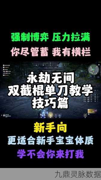轻松获取永劫无间舞棍动作,详细教程与攻略