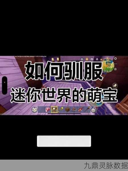 迷你世界探险指南,驯服企鹅的奇妙之旅