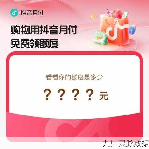 深度解析,抖音月付为何无法使用及解决之道