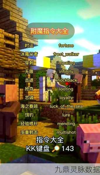 指令选择器大揭秘,在我的世界中解锁无限创意之旅