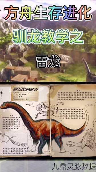 探险家必看!揭秘方舟世界的刺面龙鞍图纸之谜