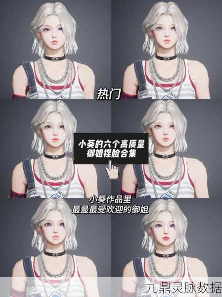 王牌竞速捏脸秘籍,如何轻松导入捏脸代码