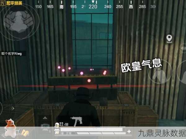 和平精英新纪元,帐篷——解锁你的终极生存秘籍