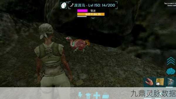 迷你世界,揭秘渡渡鸟驯服全攻略