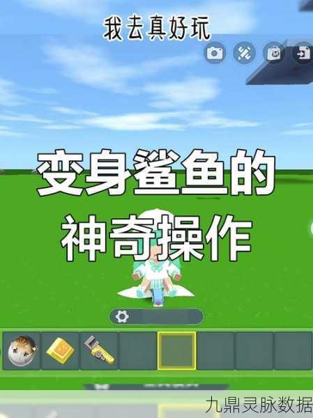 迷你世界,揭秘渡渡鸟驯服全攻略