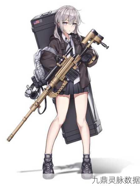 少女前线华为服安卓APK,策略与枪娘的梦幻交织
