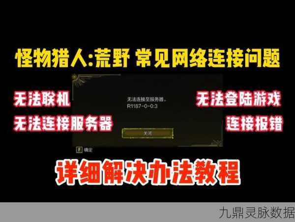 怪物猎人:世界错误代码全攻略,玩家必备指南