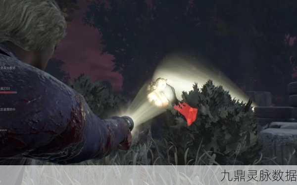 黎明杀机手电筒插件,暗夜中的生存之光
