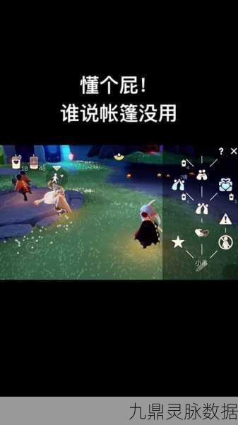 光遇奇遇,帐篷寻物任务全揭秘,轻松解锁新成就