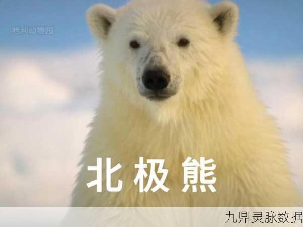 我的世界北极熊攻略大揭秘,萌宠吸引术,让你爱不释手!