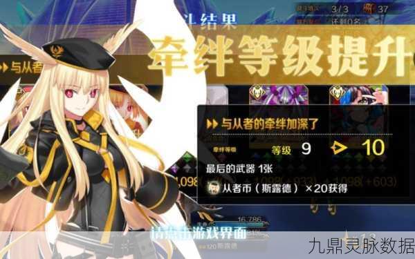 FGO国服新版本震撼登场，深度剖析更新亮点与意外惊喜