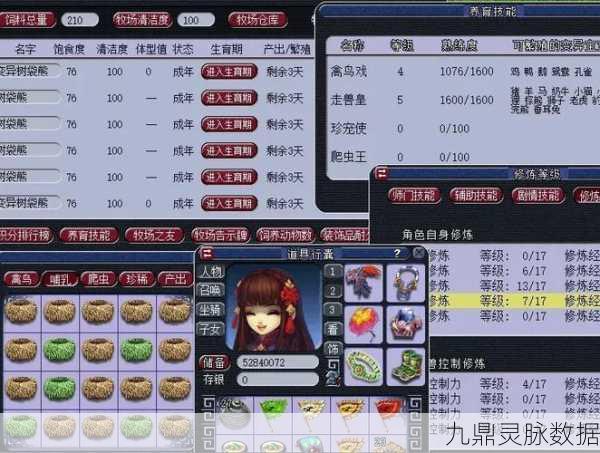 梦幻西游实名认证全解析，畅游西游世界的必备指南