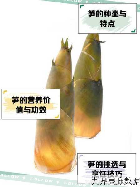 江南百景图之春笋盛景，徽州蔬菜春笋产地深度探索之旅