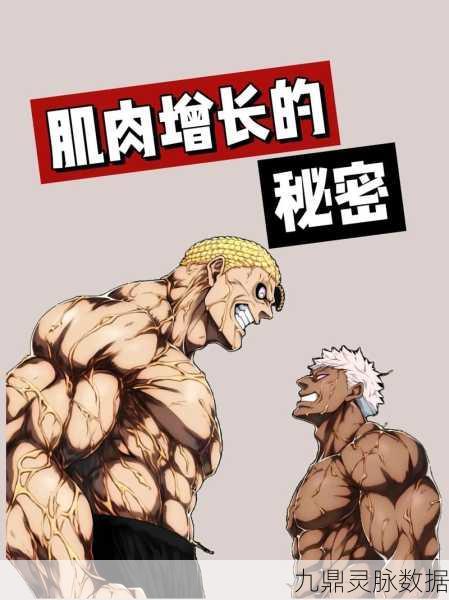 肌肉乐园,打造你的专属健身王国