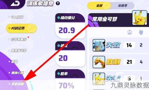 宝可梦大集结战绩轻松查，详细步骤与技巧指南