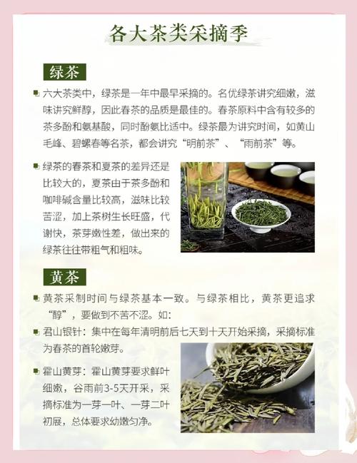 深度解析<文明 7>中茶叶的神奇功效与实际应用