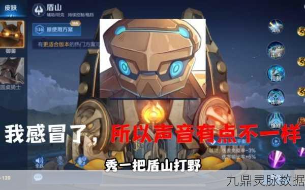 王者荣耀盾山专属名字大全及取名技巧