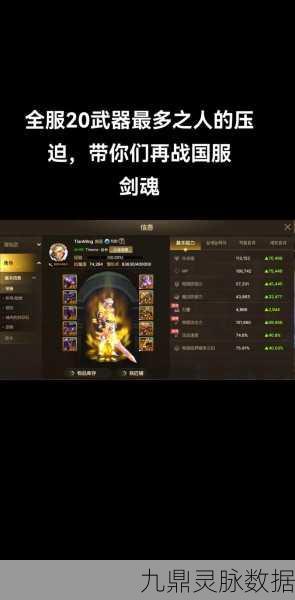 地下城与勇士魂是否停服？真相与背后原因解析