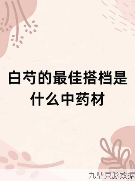 烟雨江湖深度游历,白芍珍稀药材全图追踪秘籍