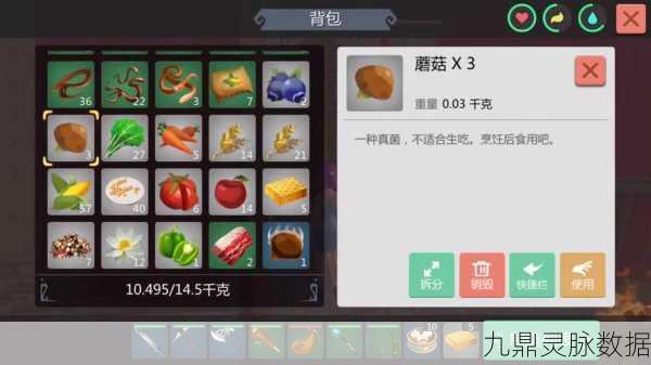 创造与魔法大篝火获取全攻略