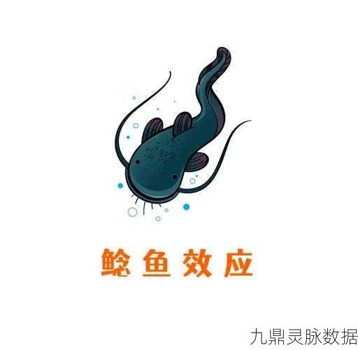 探秘创造与魔法,解锁鲶鱼的多样烹饪秘籍,让味蕾舞动