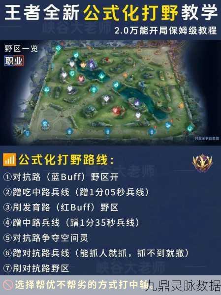 王者荣耀主宰击杀秘籍,掌握关键技巧,带领团队走向胜利