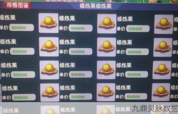 梦幻西游修炼果使用全攻略，解锁效果最大化的秘密