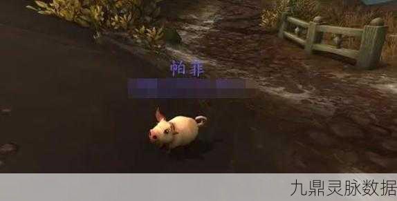 魔兽世界，揭秘贪睡的威利小宠物获取全攻略