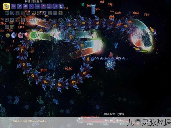 泰拉瑞亚,揭秘驯服神秘飞龙宠物的奇幻之旅