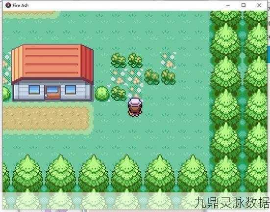 口袋妖怪燃之智,揭秘月见山的探险之旅