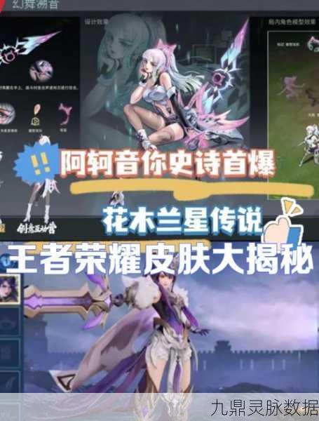 王者荣耀皮肤价值大揭秘,玩家必备指南